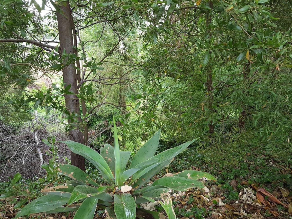 Wilsons Promontory Motel Foster Εξωτερικό φωτογραφία
