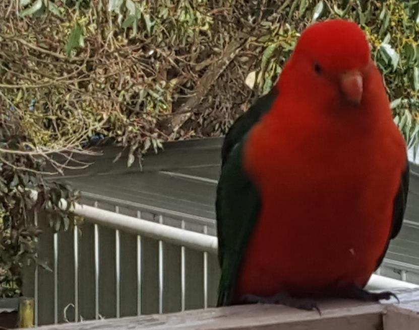 Wilsons Promontory Motel Foster Εξωτερικό φωτογραφία